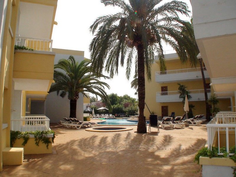 Palm Garden *